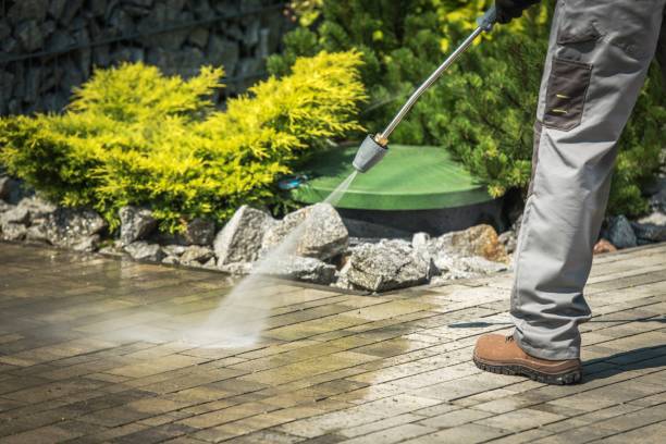 Best Animal Enclosure Cleaning  in Jersey Village, TX